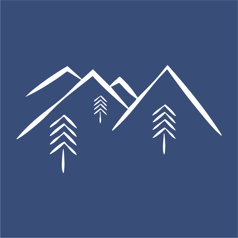 Blue Spruce Construction Group